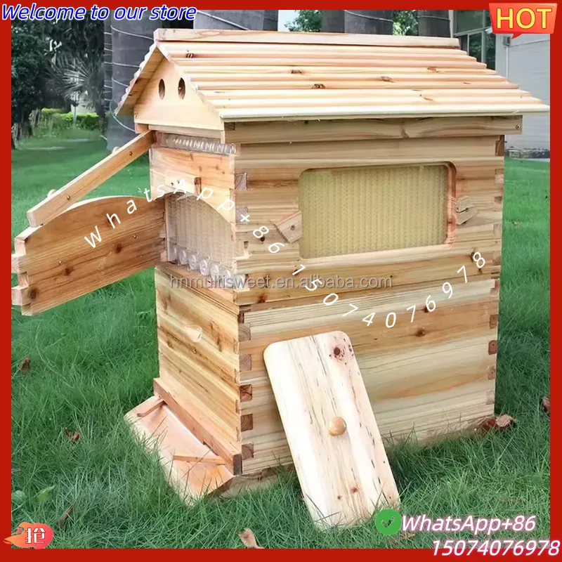 2026 Ruche à abeilles automati - Beehive Frame Wax avis et prix