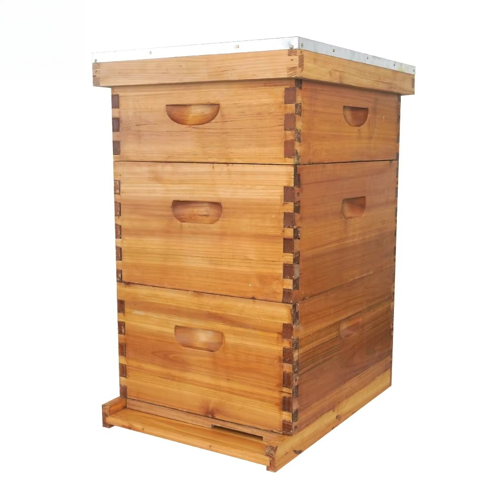 Ruche Langstroth complète à 3  - Beehive Frame Wax avis et prix