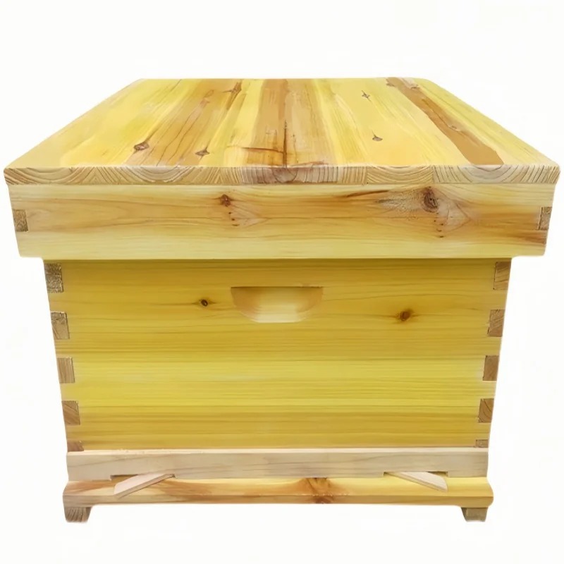Colonne d'abeilles dans une bo - Beehive Frame Wax avis et prix
