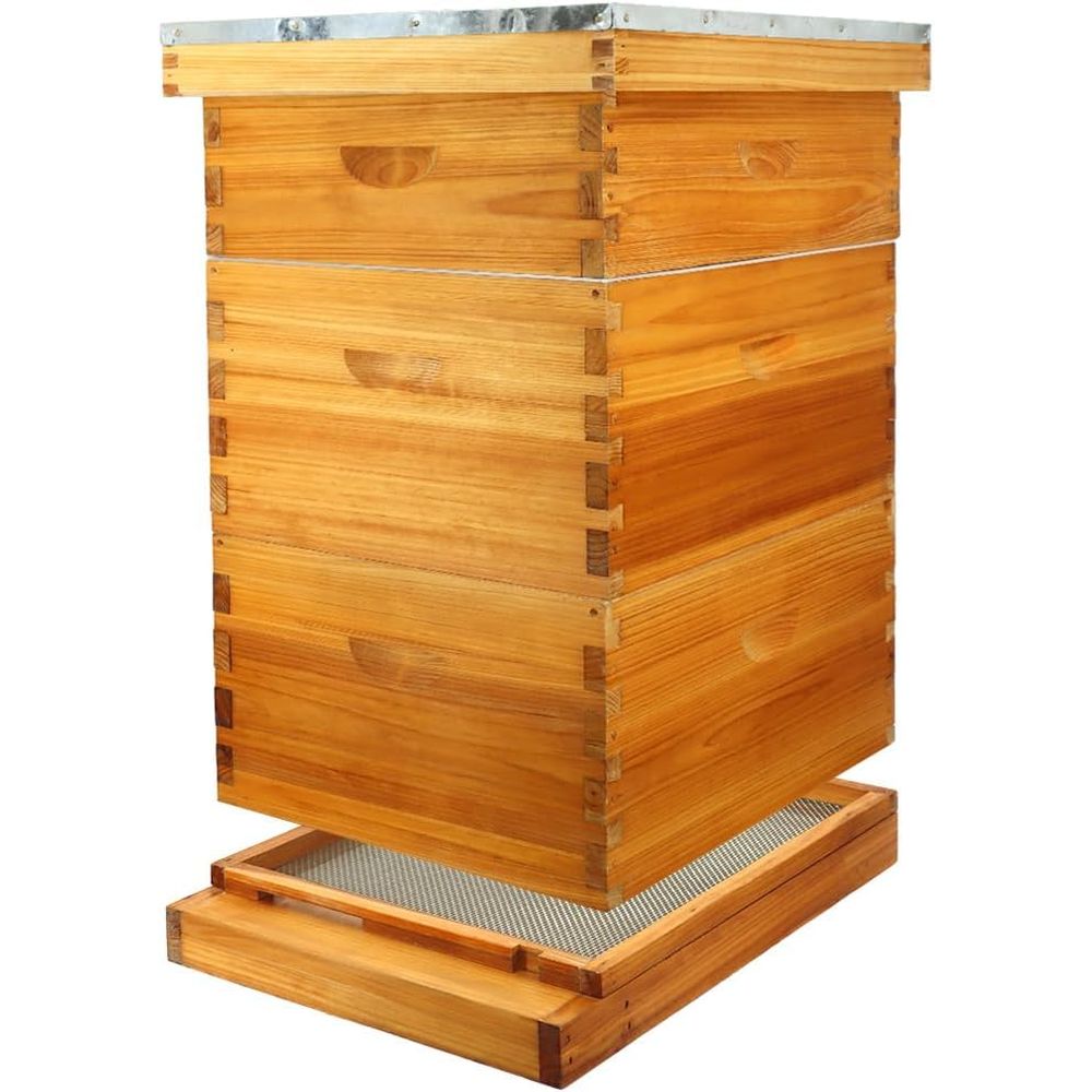 Kit de ruche 10 cadres avec fo - Beehive Frame Wax avis et prix